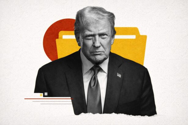  - برفيلكس - brieflex