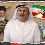  - برفيلكس - brieflex