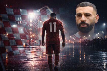  - برفيلكس - brieflex