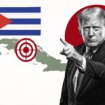  - برفيلكس - brieflex