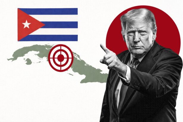  - برفيلكس - brieflex