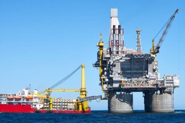  - برفيلكس - brieflex