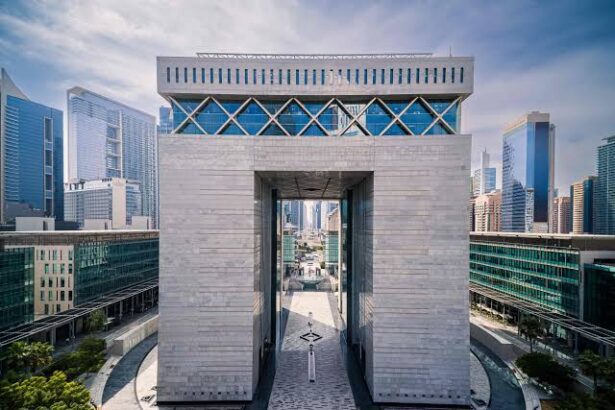  - برفيلكس - brieflex