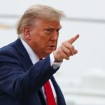  - برفيلكس - brieflex