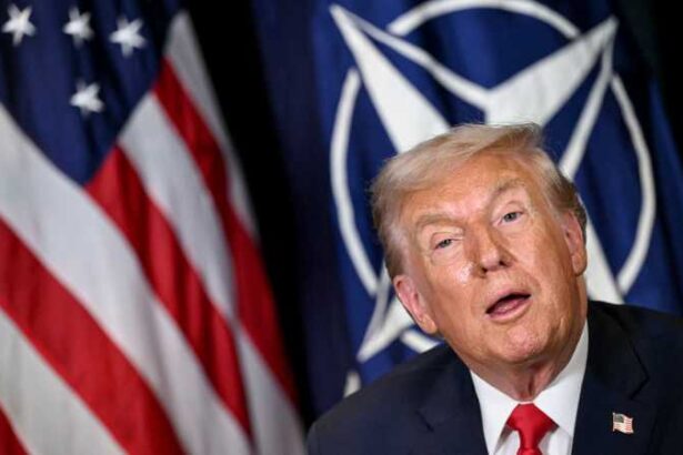  - برفيلكس - brieflex