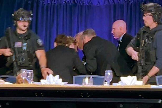 Armed security guards in tactical gear stand at a long table during a formal event, with attendees bent over in the background and blue curtains behind them. - برفيلكس - brieflex
