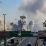  - برفيلكس - brieflex