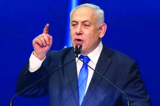  - برفيلكس - brieflex