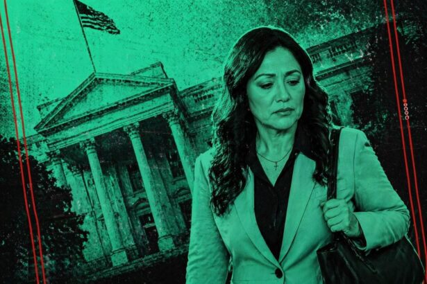 Woman in a blazer carrying a shoulder bag walks past a neoclassical government building with columns, in a teal-toned edit. - برفيلكس - brieflex