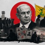  - برفيلكس - brieflex