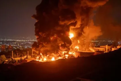  - برفيلكس - brieflex