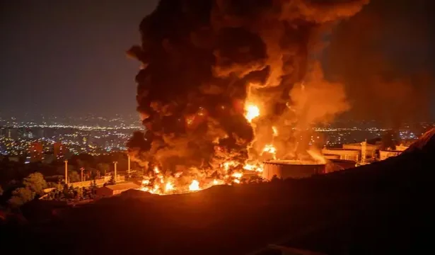  - برفيلكس - brieflex