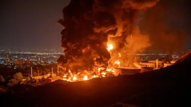  - برفيلكس - brieflex