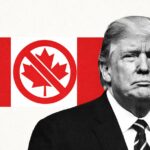  - برفيلكس - brieflex