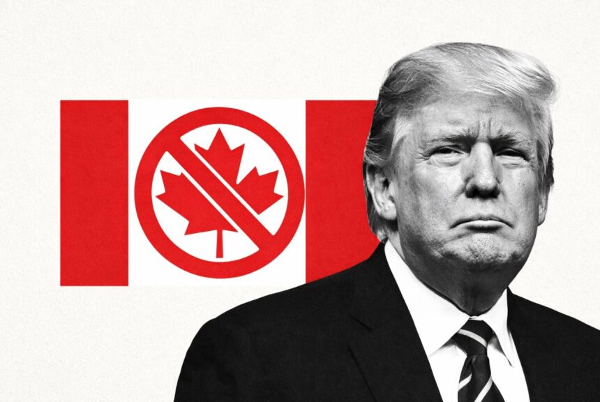  - برفيلكس - brieflex