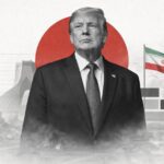  - برفيلكس - brieflex