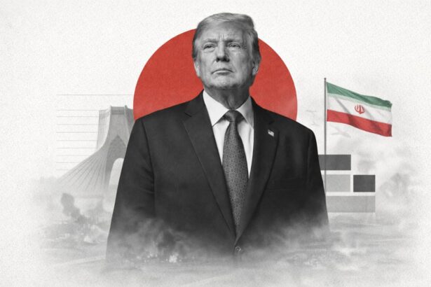  - برفيلكس - brieflex