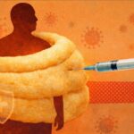 Silhouette of a person wrapped in a large pork rind cocoon, with a syringe approaching from the right against an orange background with virus shapes. - برفيلكس - brieflex