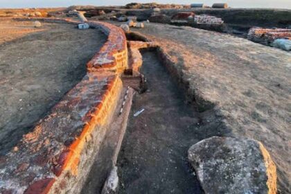  - برفيلكس - brieflex