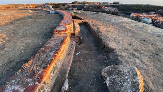  - برفيلكس - brieflex