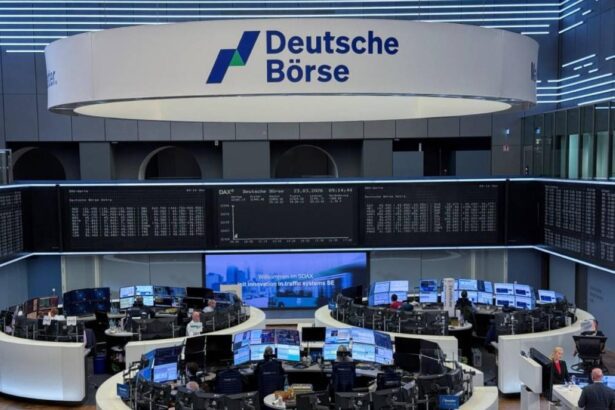  - برفيلكس - brieflex