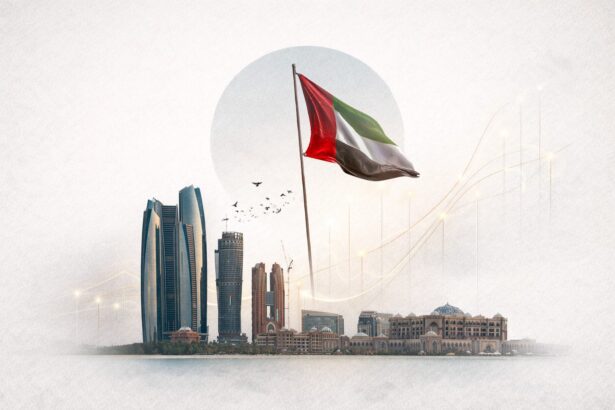  - برفيلكس - brieflex