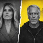  - برفيلكس - brieflex