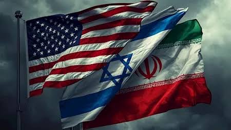  - برفيلكس - brieflex