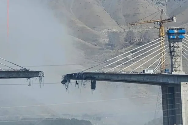  - برفيلكس - brieflex