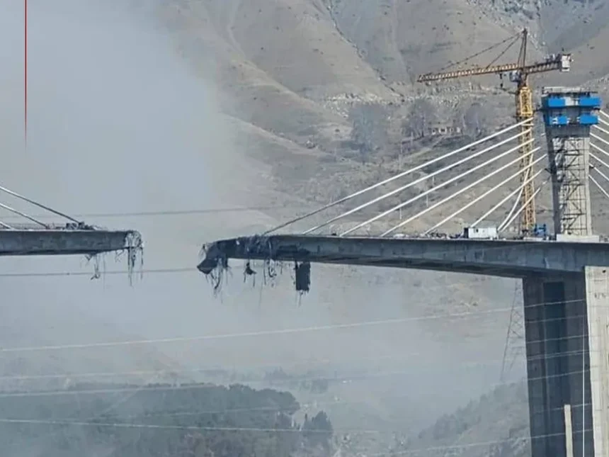  - برفيلكس - brieflex